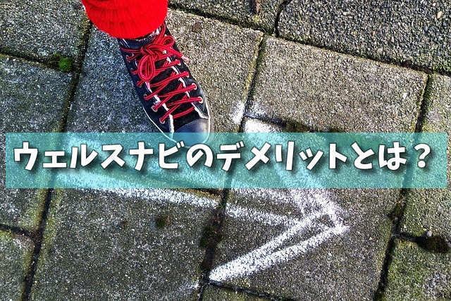 ウェルスナビのデメリットとは？の画像