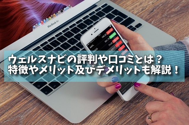 ウェルスナビの評判や口コミとは？特徴やメリット及びデメリットも解説！の画像